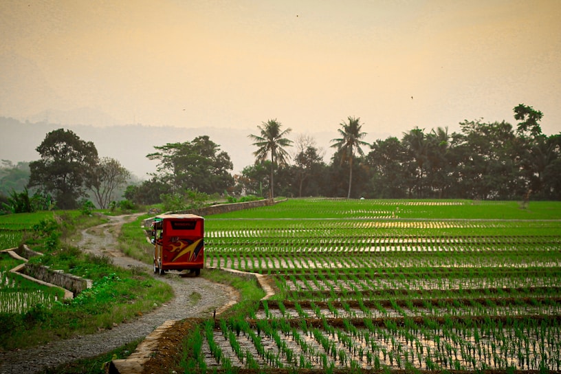A vibrant jeep driving through lush green rice terraces in Sidemen, Bali.