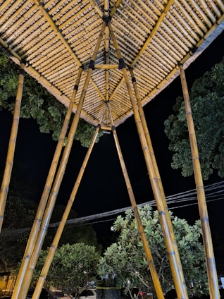 A bamboo structure with poles supporting a geometric, thatched roof. Surrounding the structure are lush green trees against a dark night sky.
