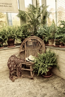 A rustic wooden chair placed against a backdrop of lush, green ferns and potted plants fills the corner of a conservatory. A straw hat rests atop the chair while a patterned blanket drapes over one arm. The setting provides an inviting and tranquil atmosphere, enhanced by the natural light filtering through the large windows.