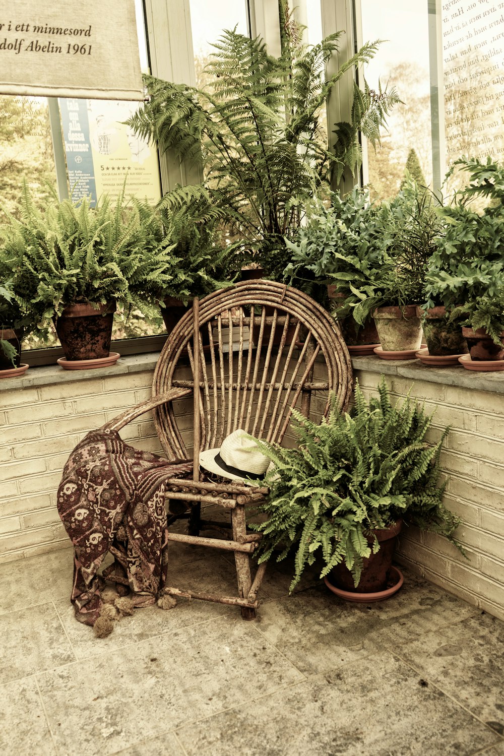 ein Stuhl und ein paar Pflanzen in einem Raum