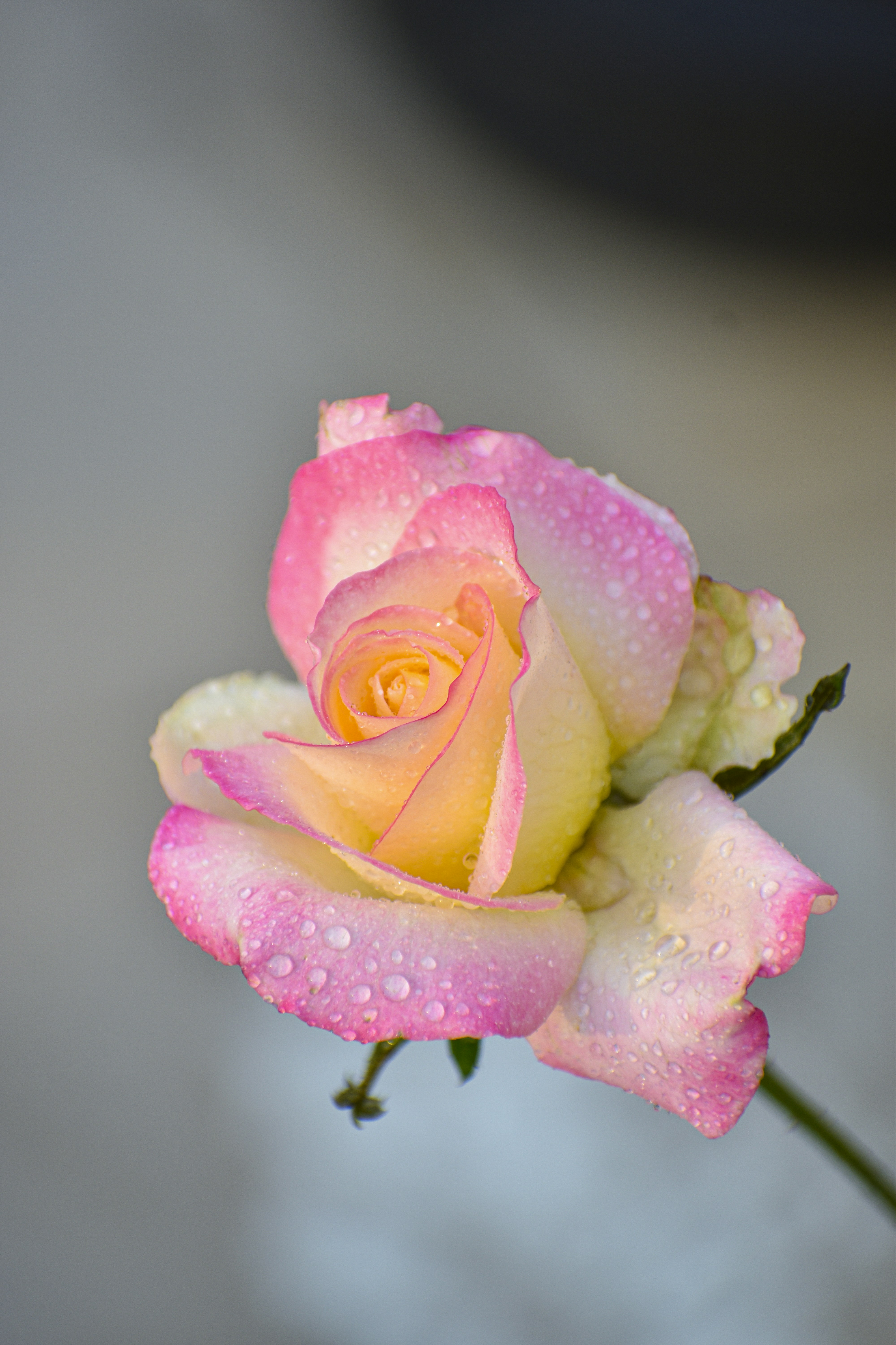 Photo by drofficial_96