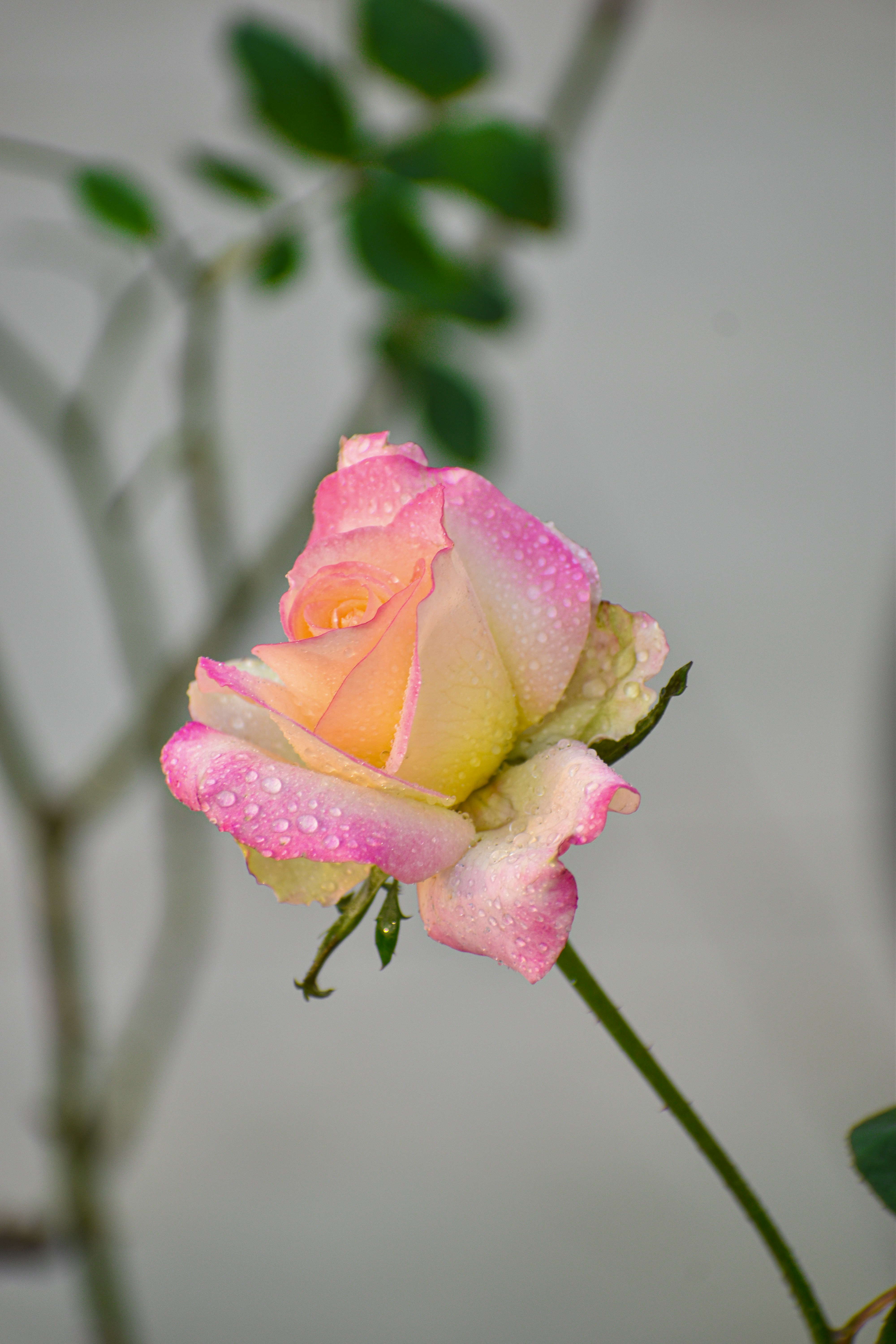 Photo by drofficial_96