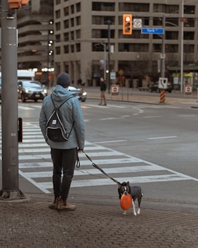 A person stands at a city intersection with a dog on a leash. The person is wearing a beanie, backpack, and a jacket, looking towards the street. The dog, dressed in a coat, holds an orange frisbee in its mouth. Vehicles and buildings are visible in the background, with traffic lights and street signs present.