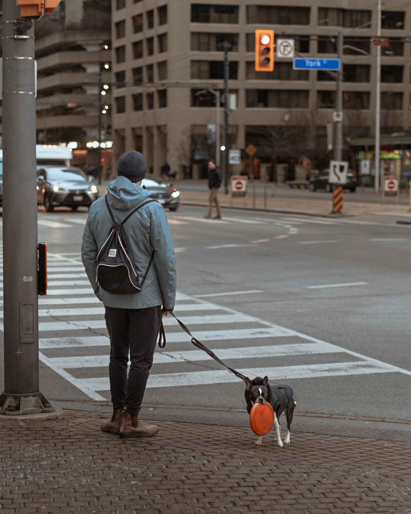 A person walking a dog on a leash on a quiet sidewalk