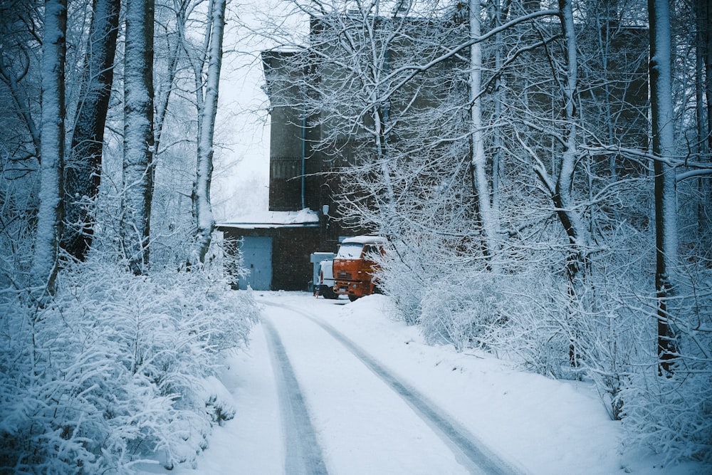 a train traveling through a snow covered forest