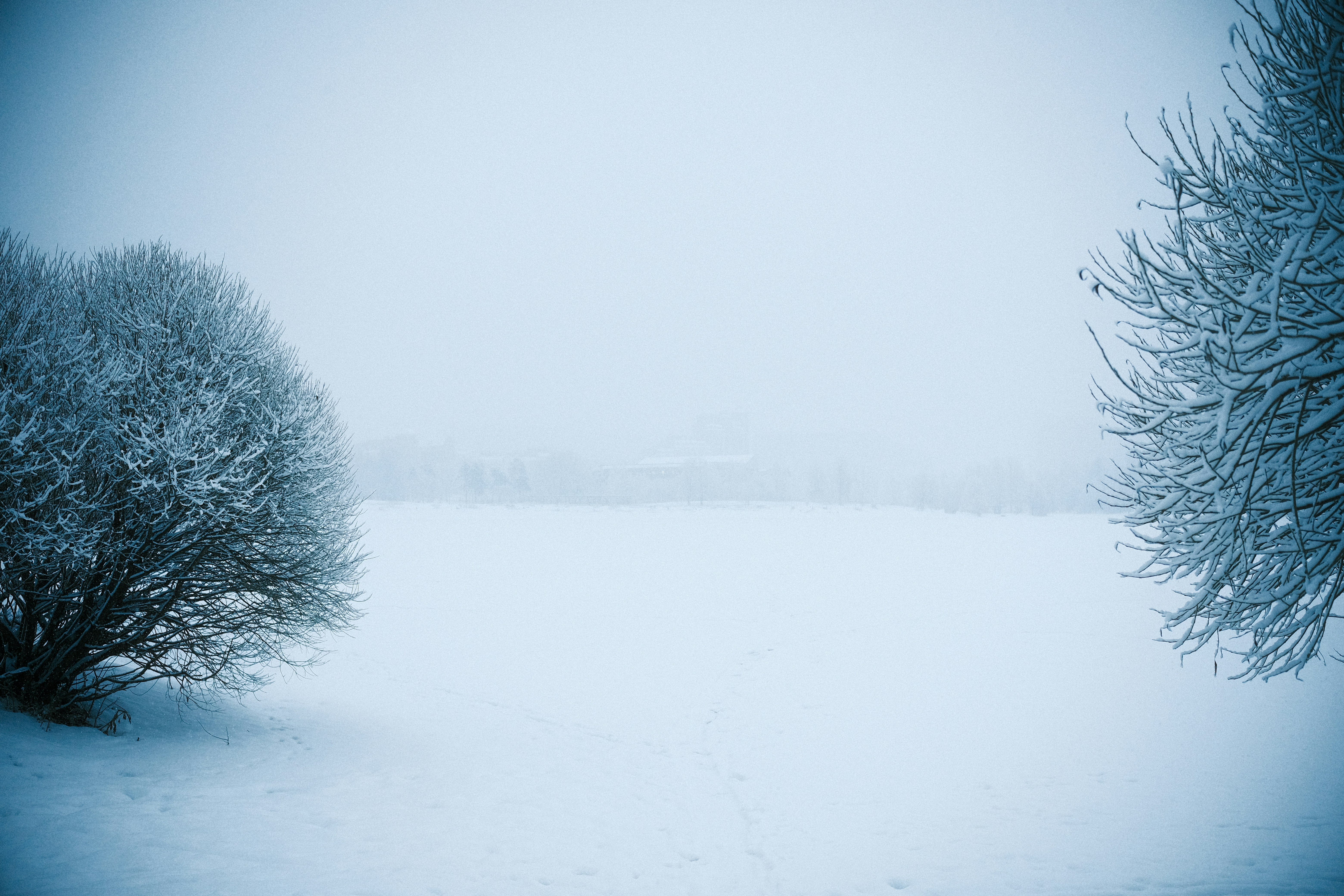 The Fermi Paradox and Cosmic Loneliness (image credits: unsplash)