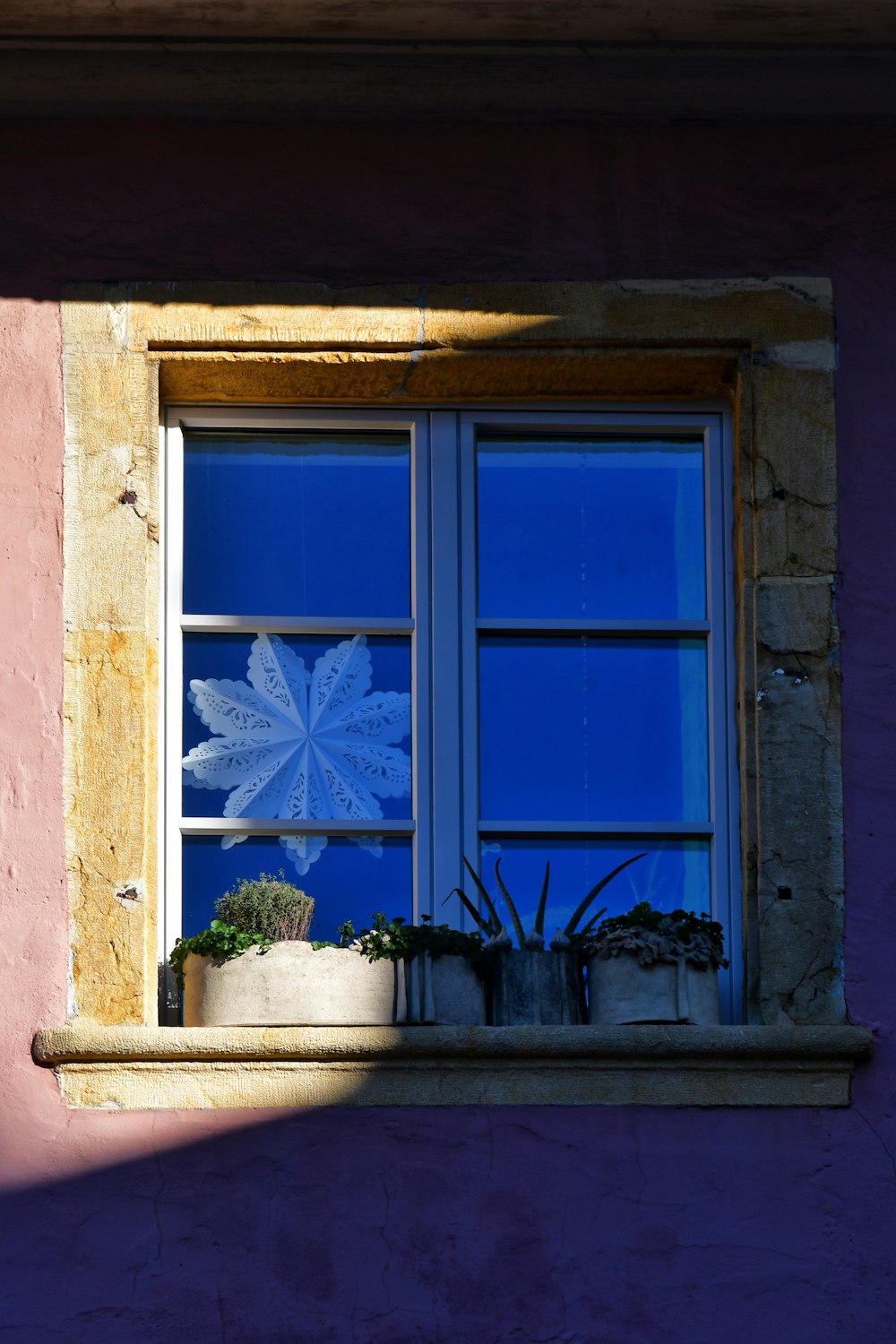 a window sill with a potted plant in it