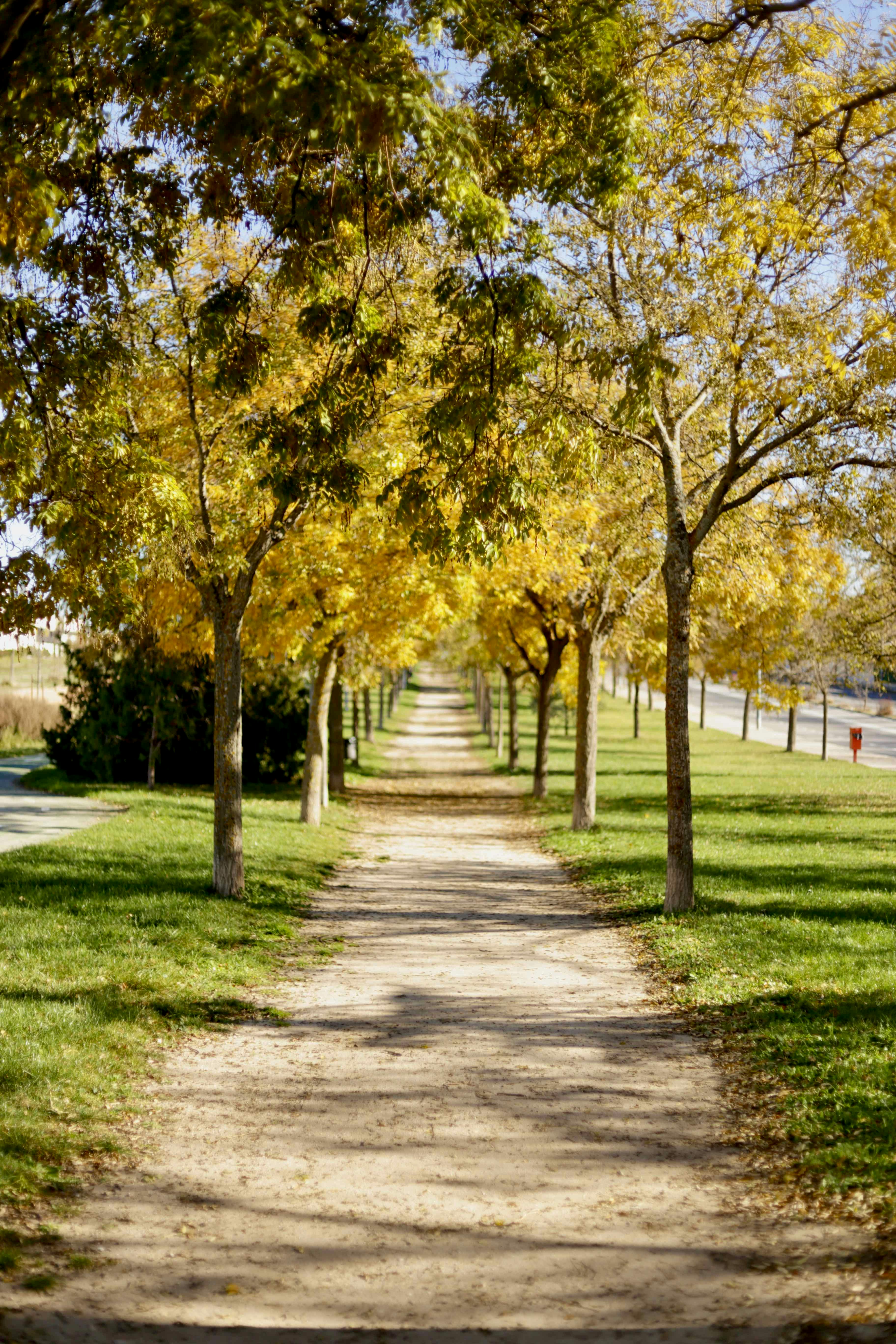 Photo by natanael_laguna