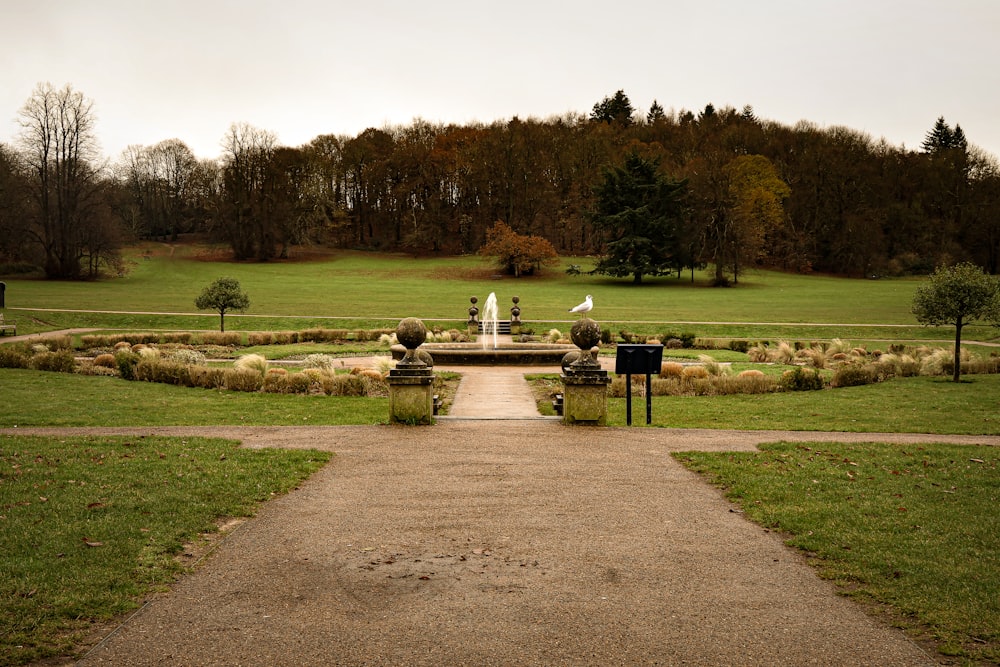 a large grassy field with a fountain in the middle of it