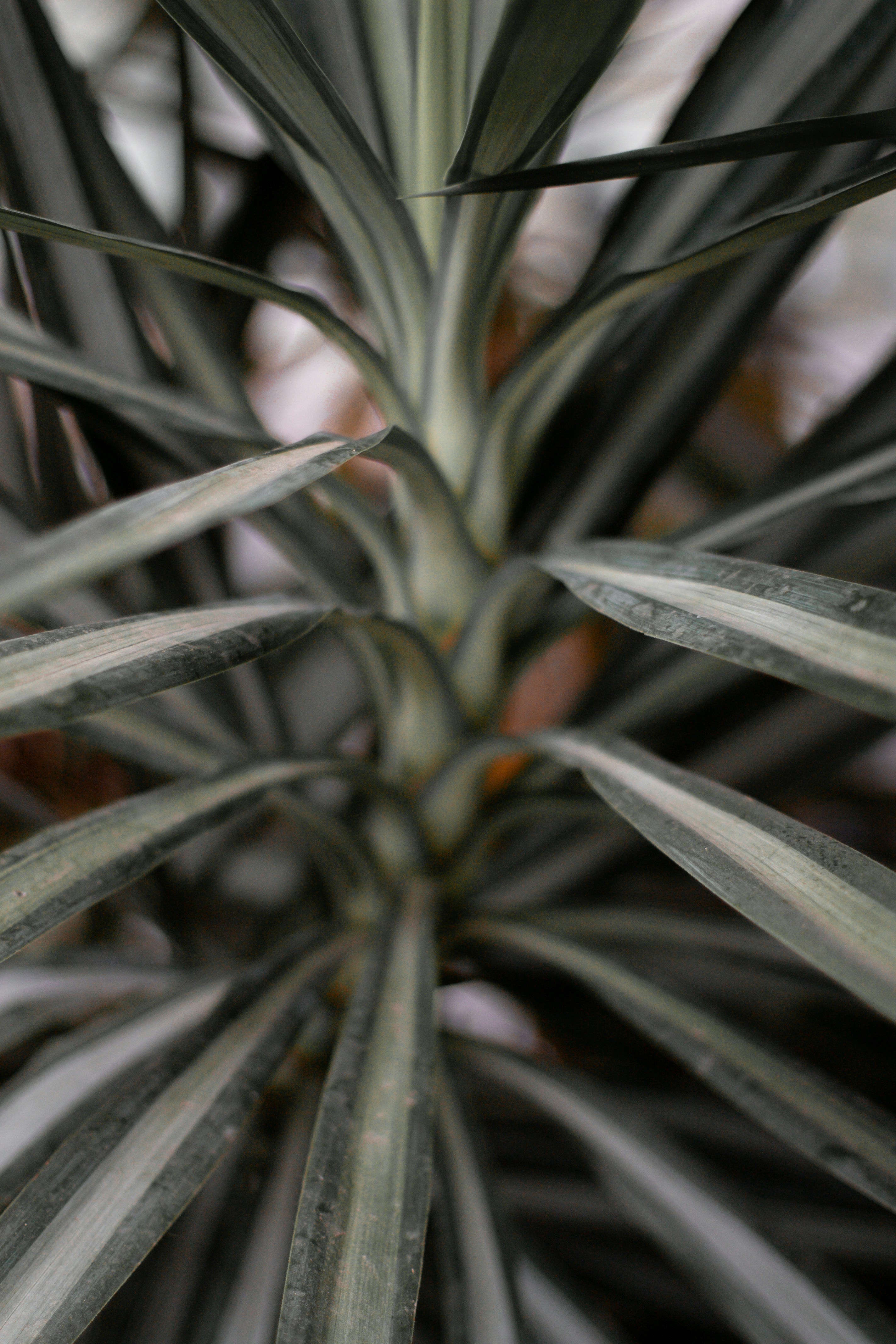 Photo by waleksandra