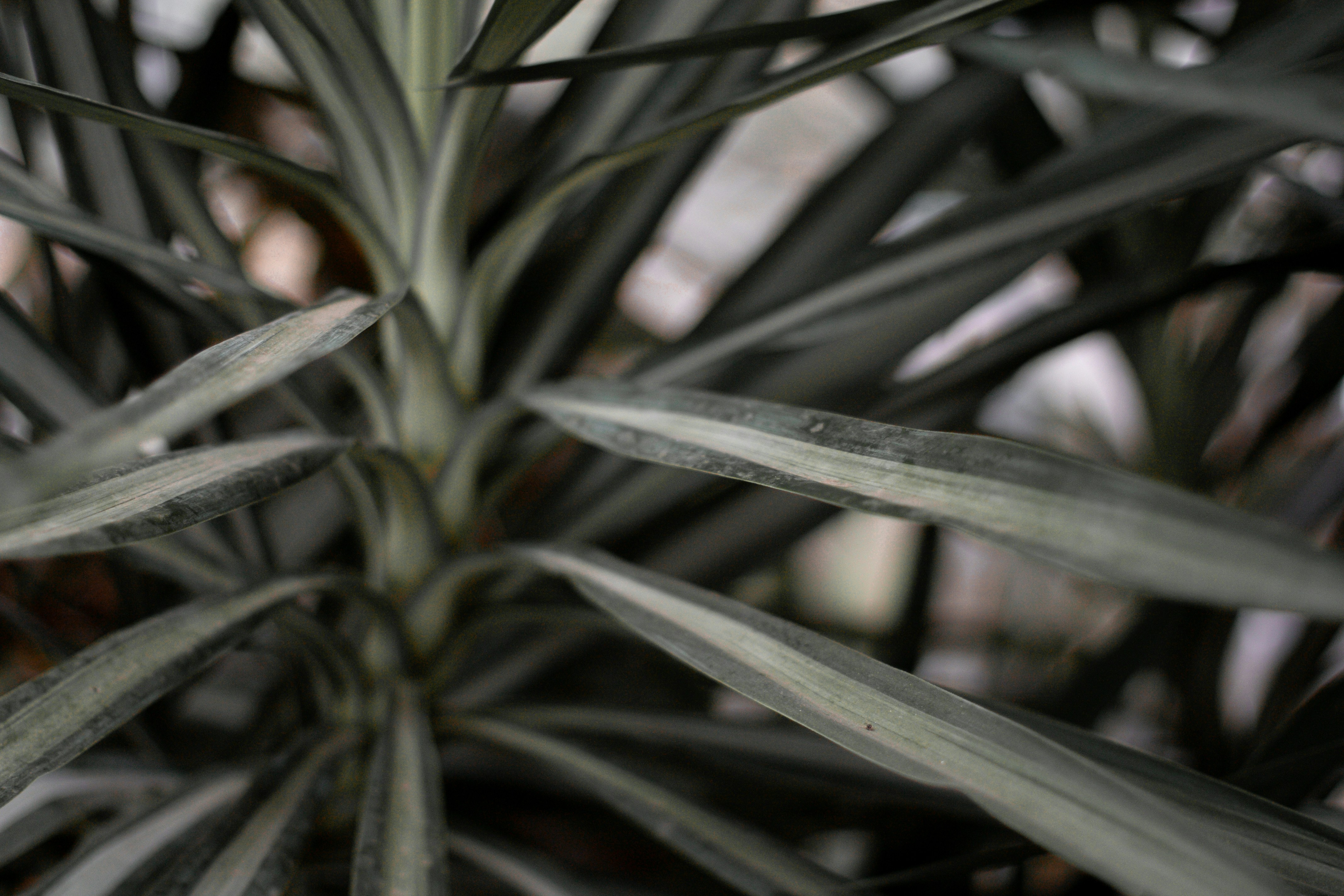 Photo by waleksandra