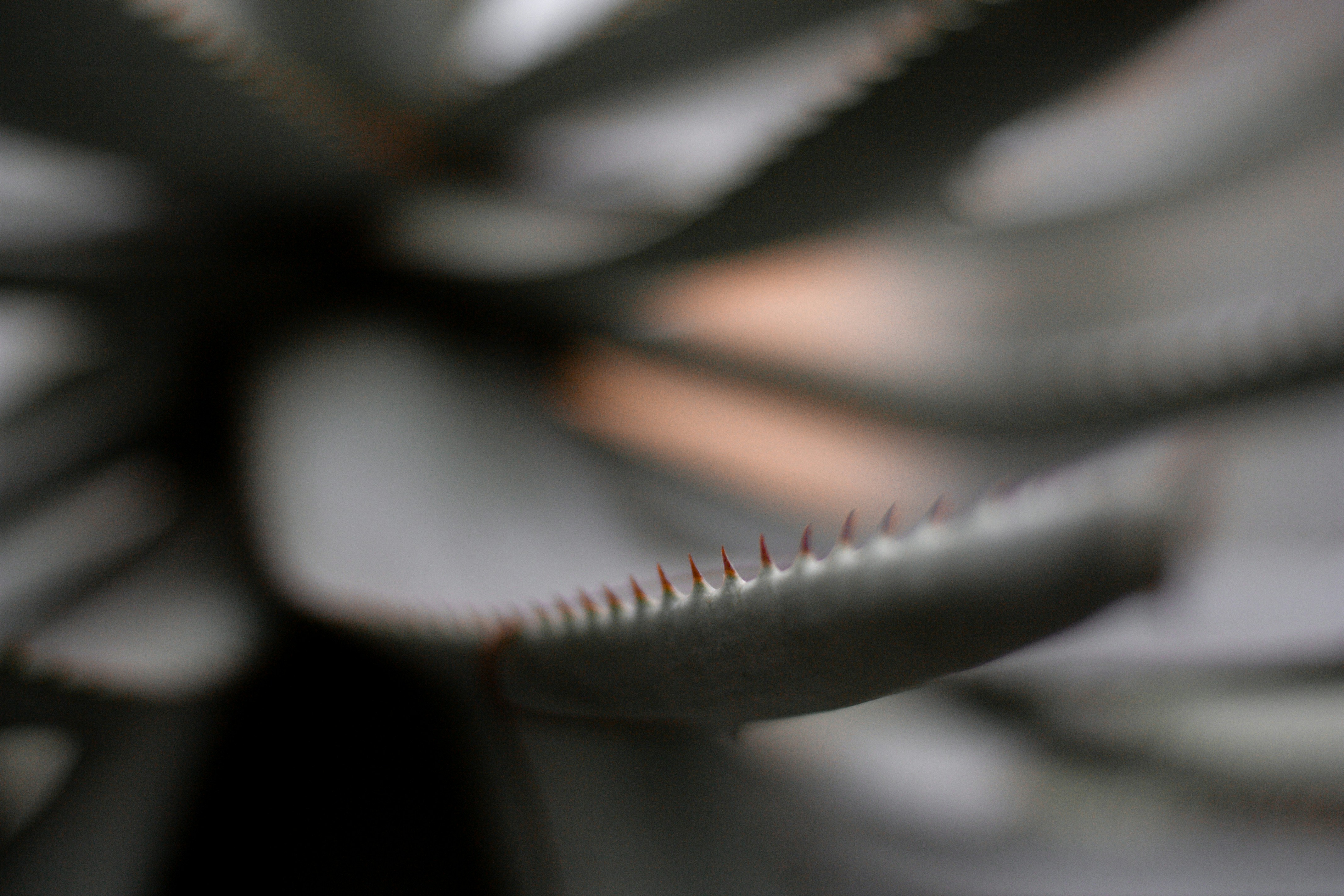 Photo by waleksandra