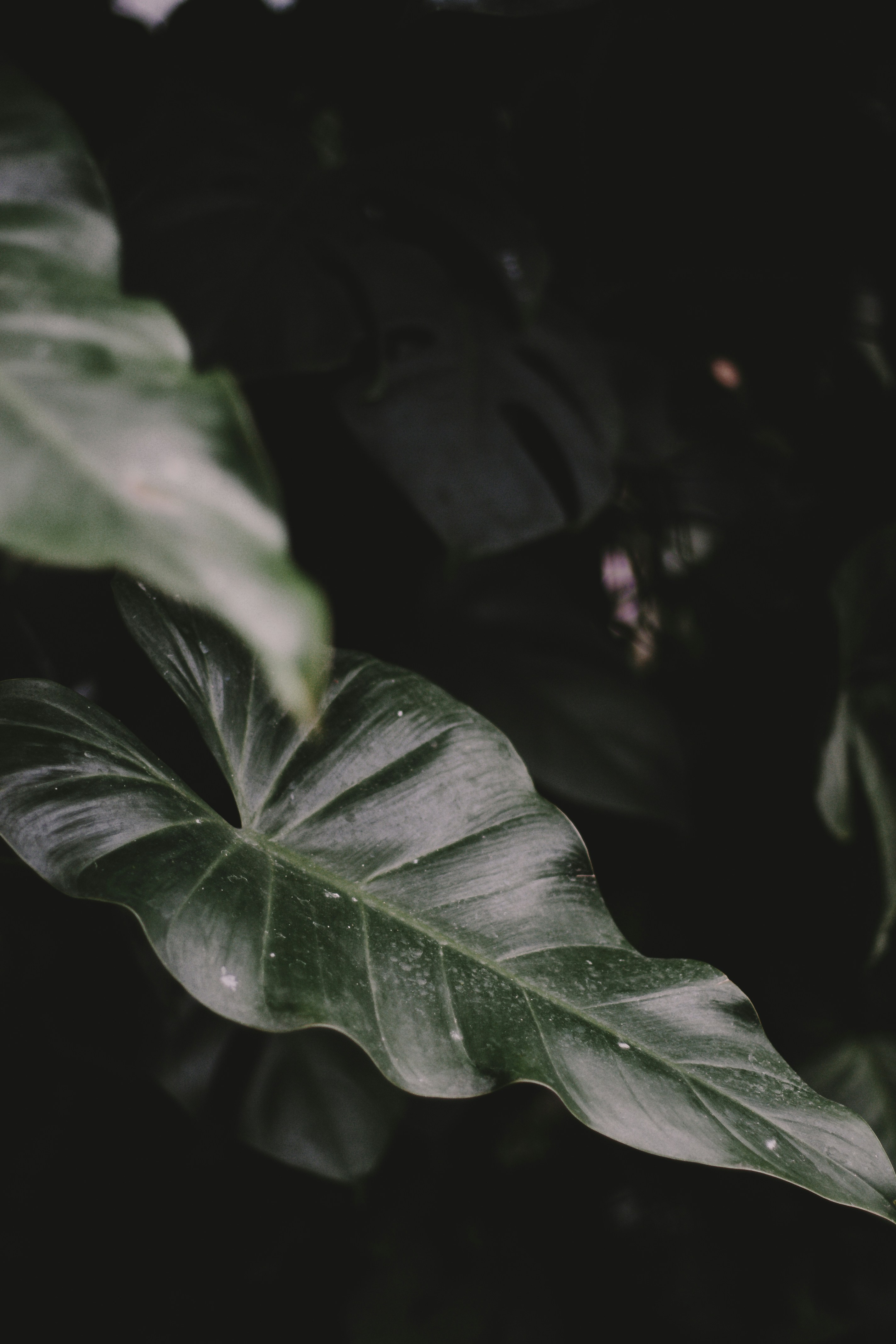 Photo by waleksandra