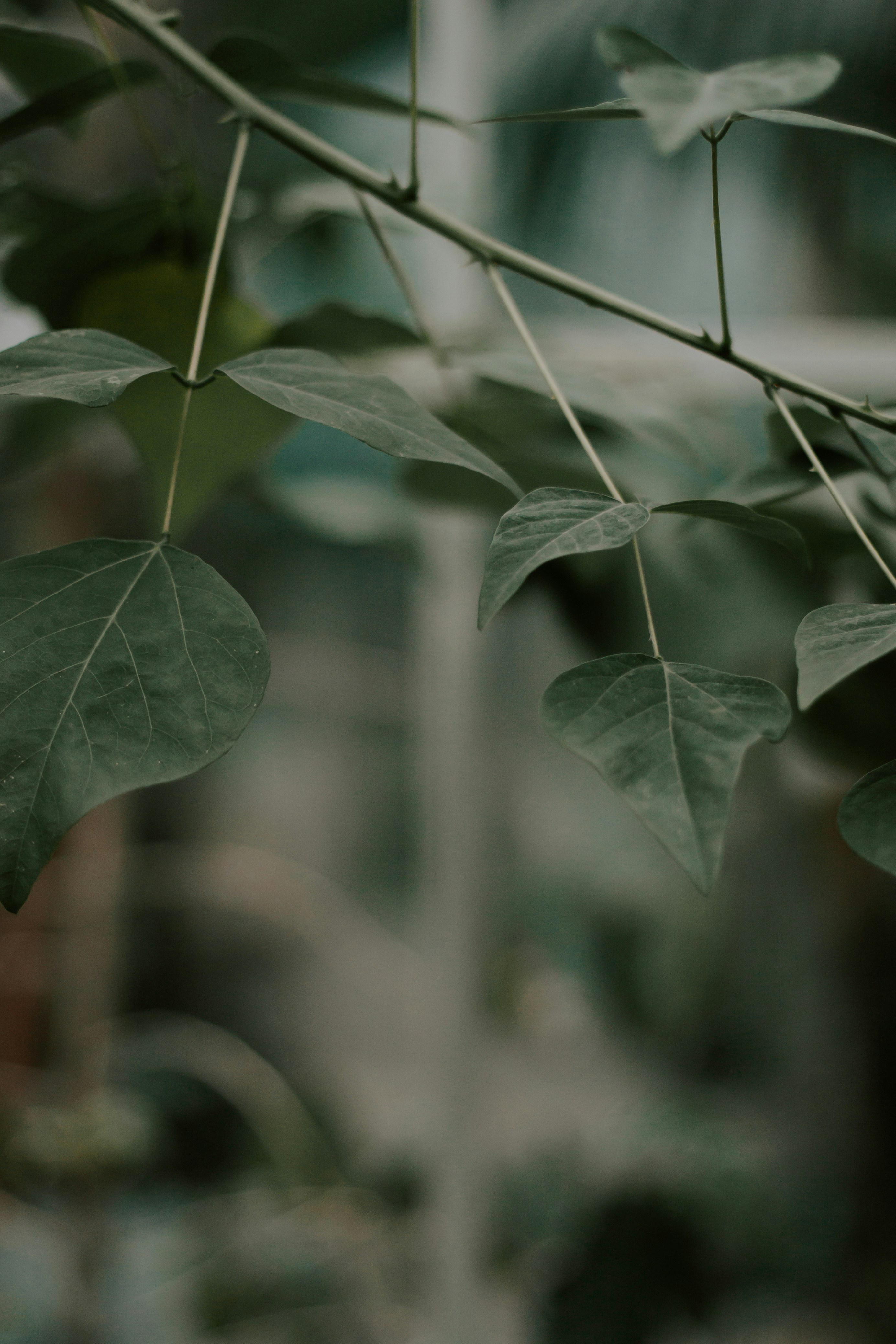 Photo by waleksandra