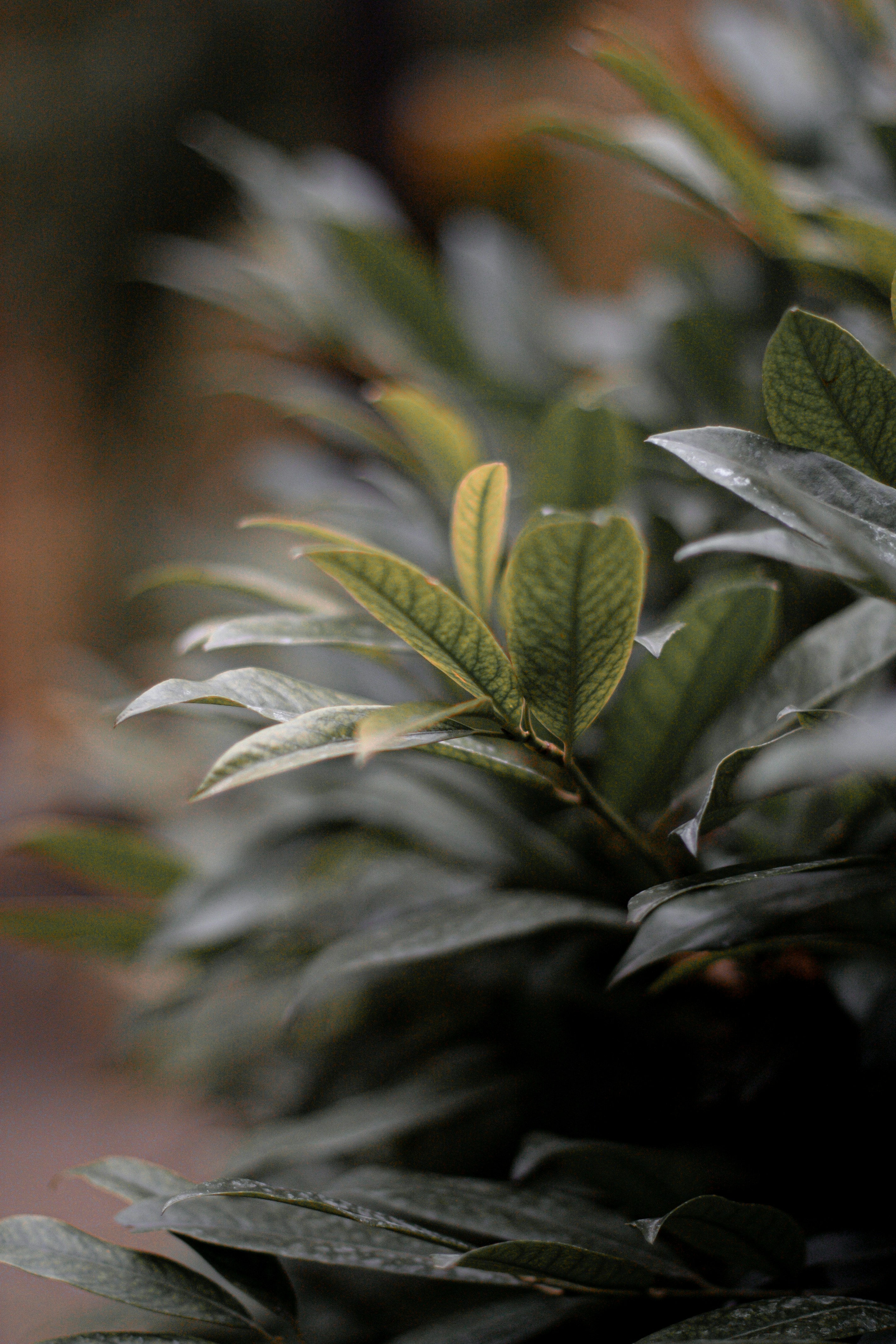 Photo by waleksandra