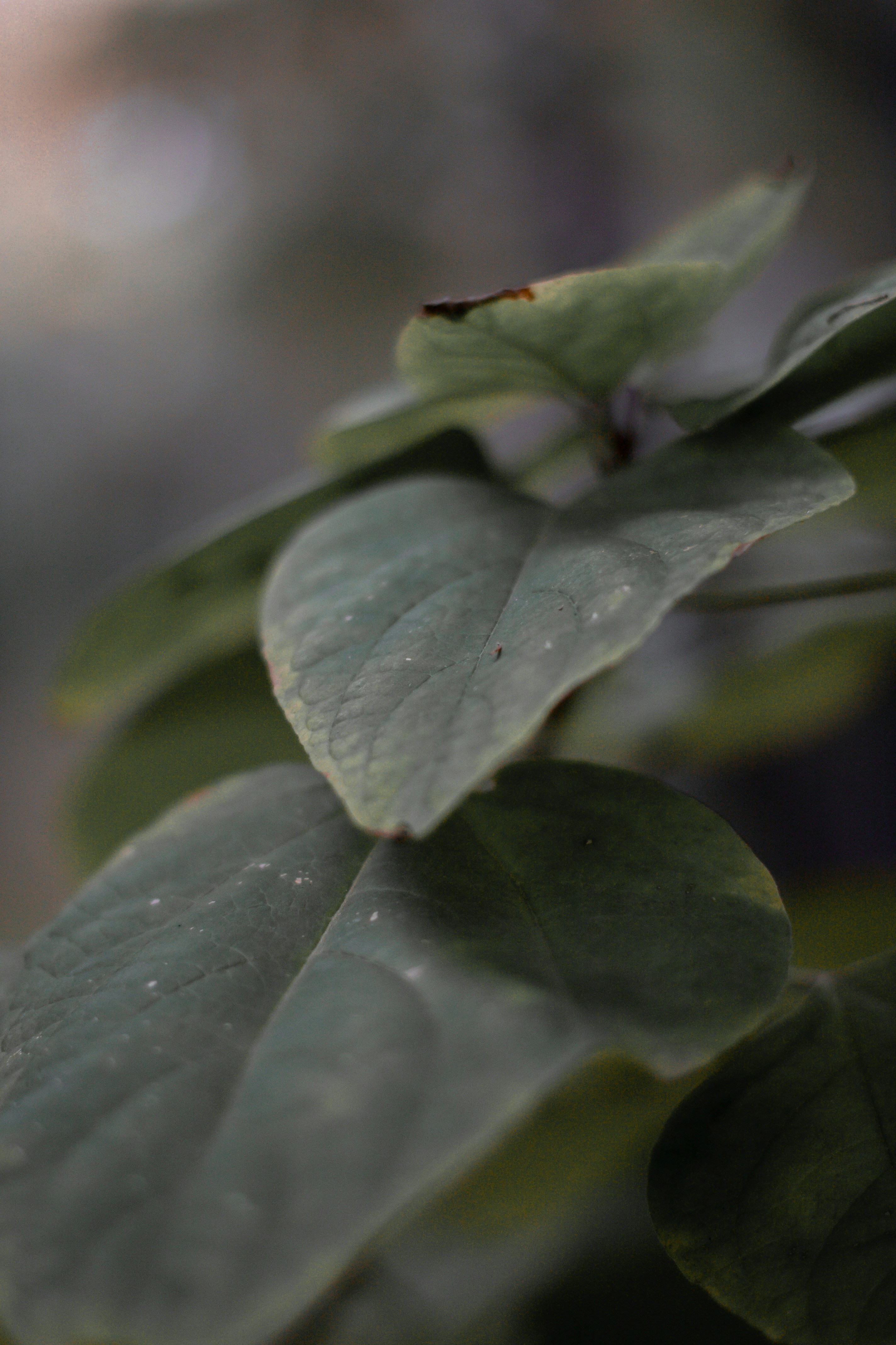 Photo by waleksandra