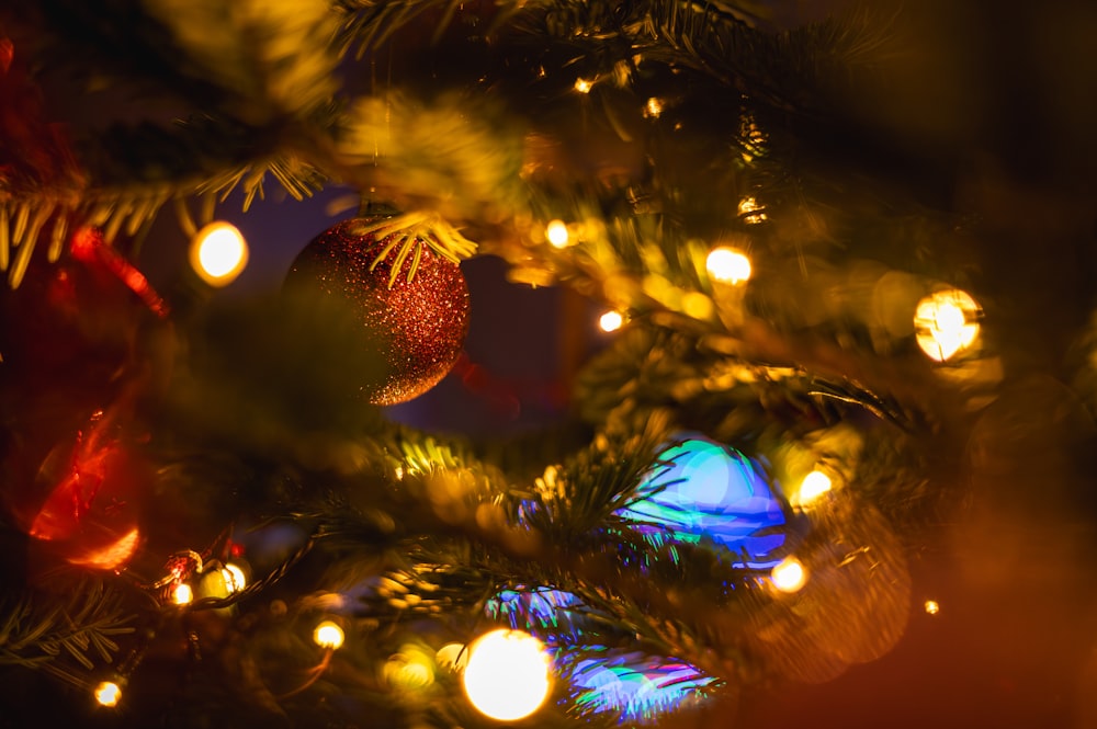 a close up of a christmas tree with lights