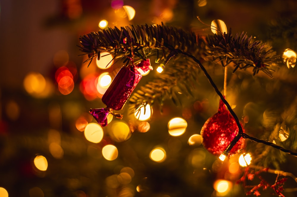 a close up of a christmas tree with lights in the background