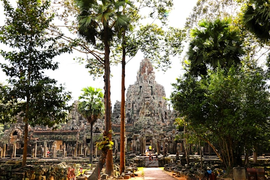 A majestic ancient stone temple adorned with intricate carvings surrounded by lush green trees. The architecture reflects a grand, historical aesthetic amid a sunlit jungle setting.