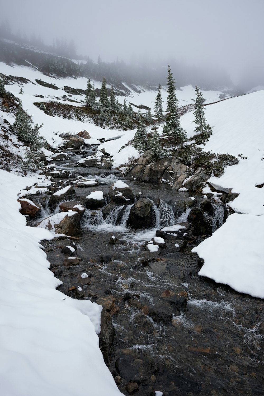 a stream running through a snow covered forest