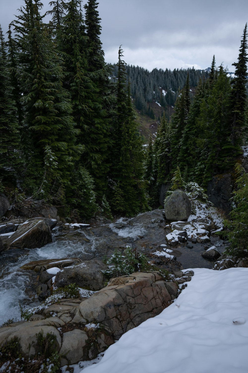 a river running through a forest covered in snow