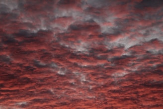 A close-up of red clouds illuminated by morning light.
