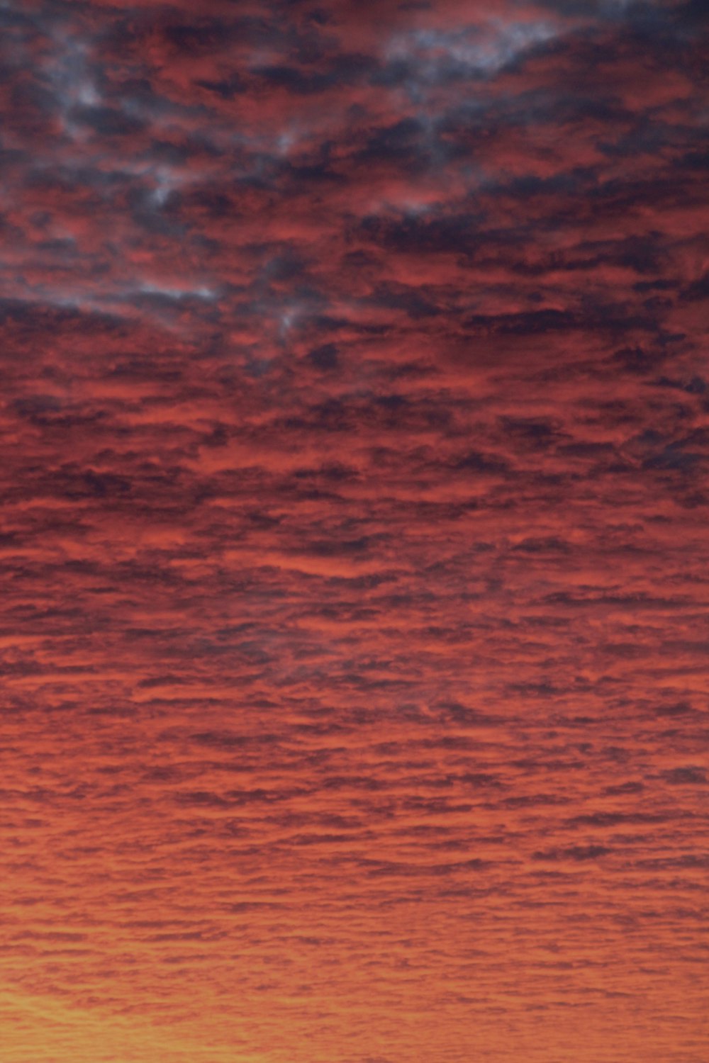 a plane flying in the sky at sunset