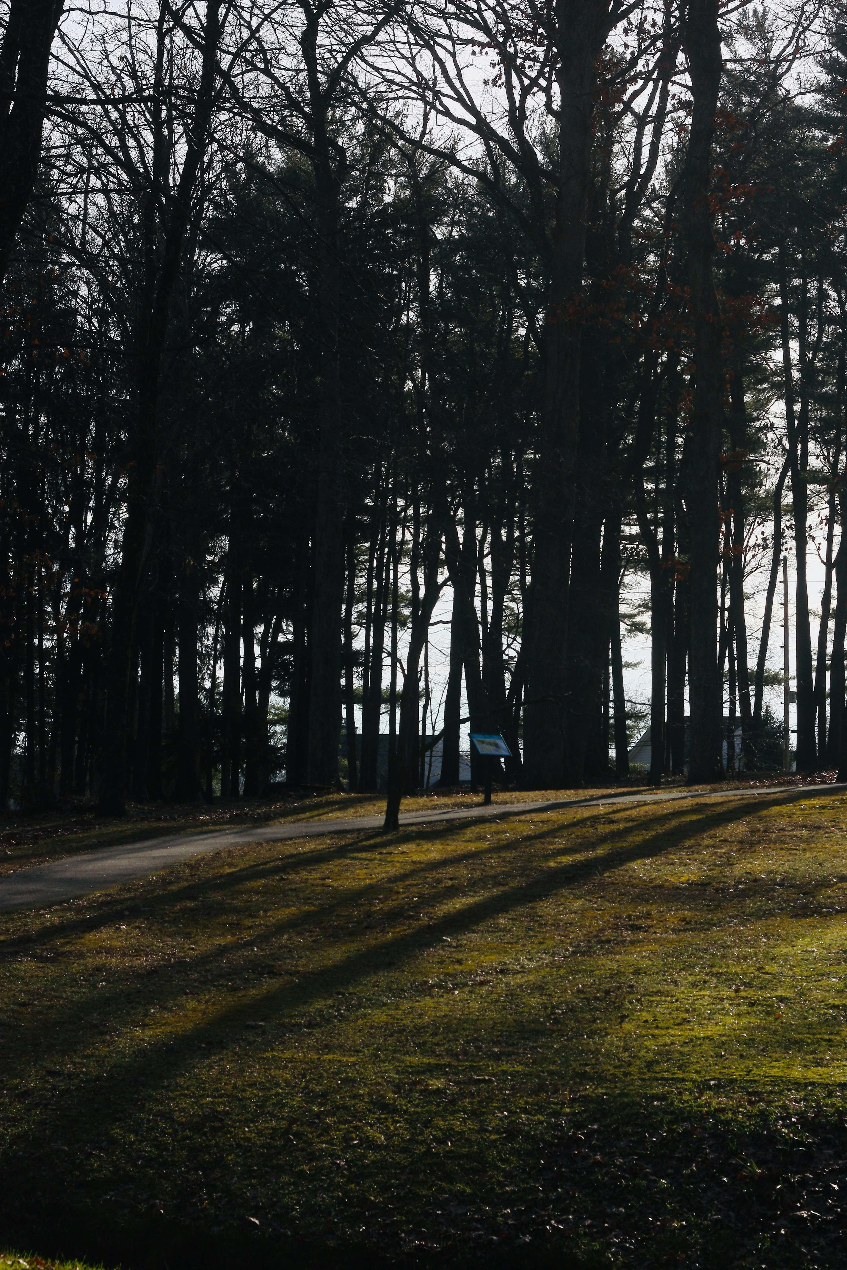 Photo by etiennejanylah