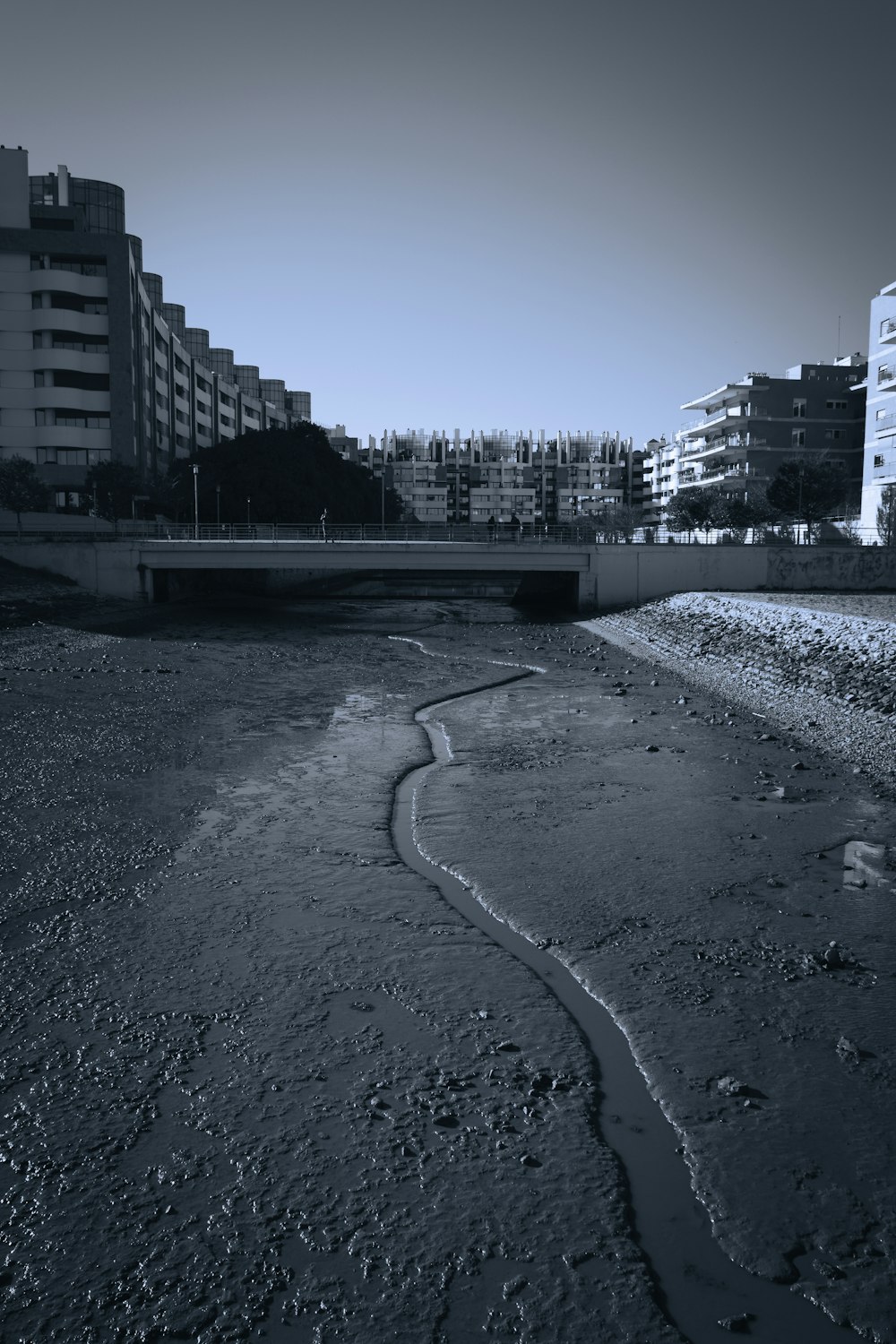 a black and white photo of a river with buildings in the background