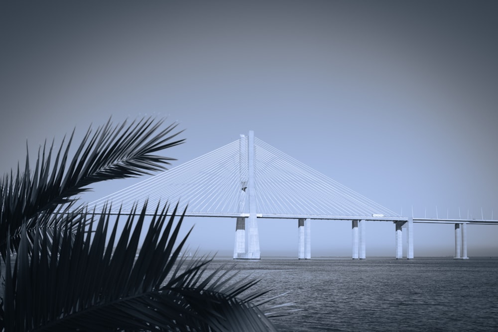 a large bridge spanning over a body of water