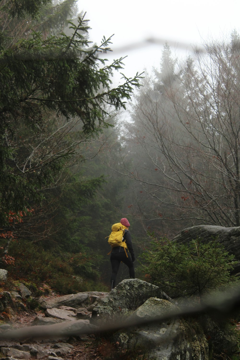 a person with a yellow backpack walking through a forest