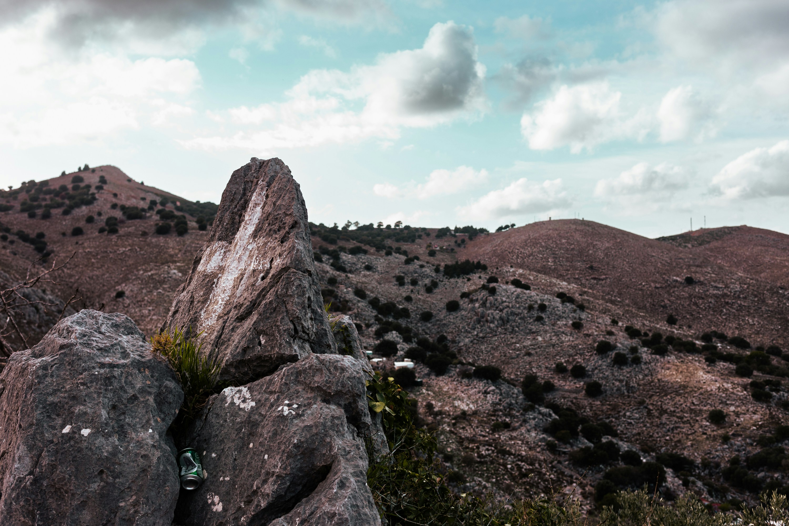 Photo by kirkphotographer