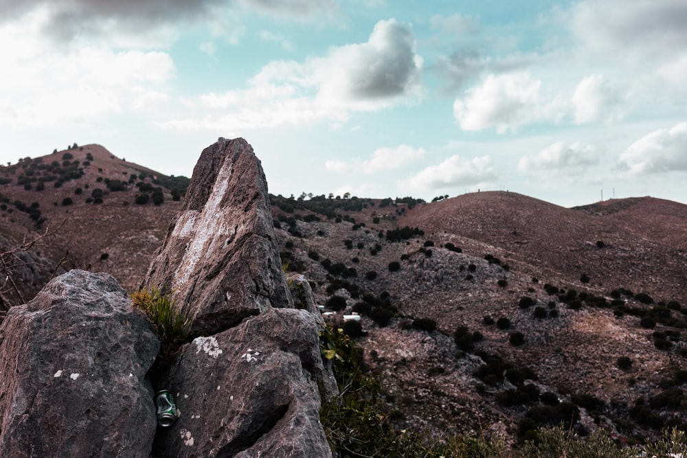 a large rock sitting on top of a lush green hillside