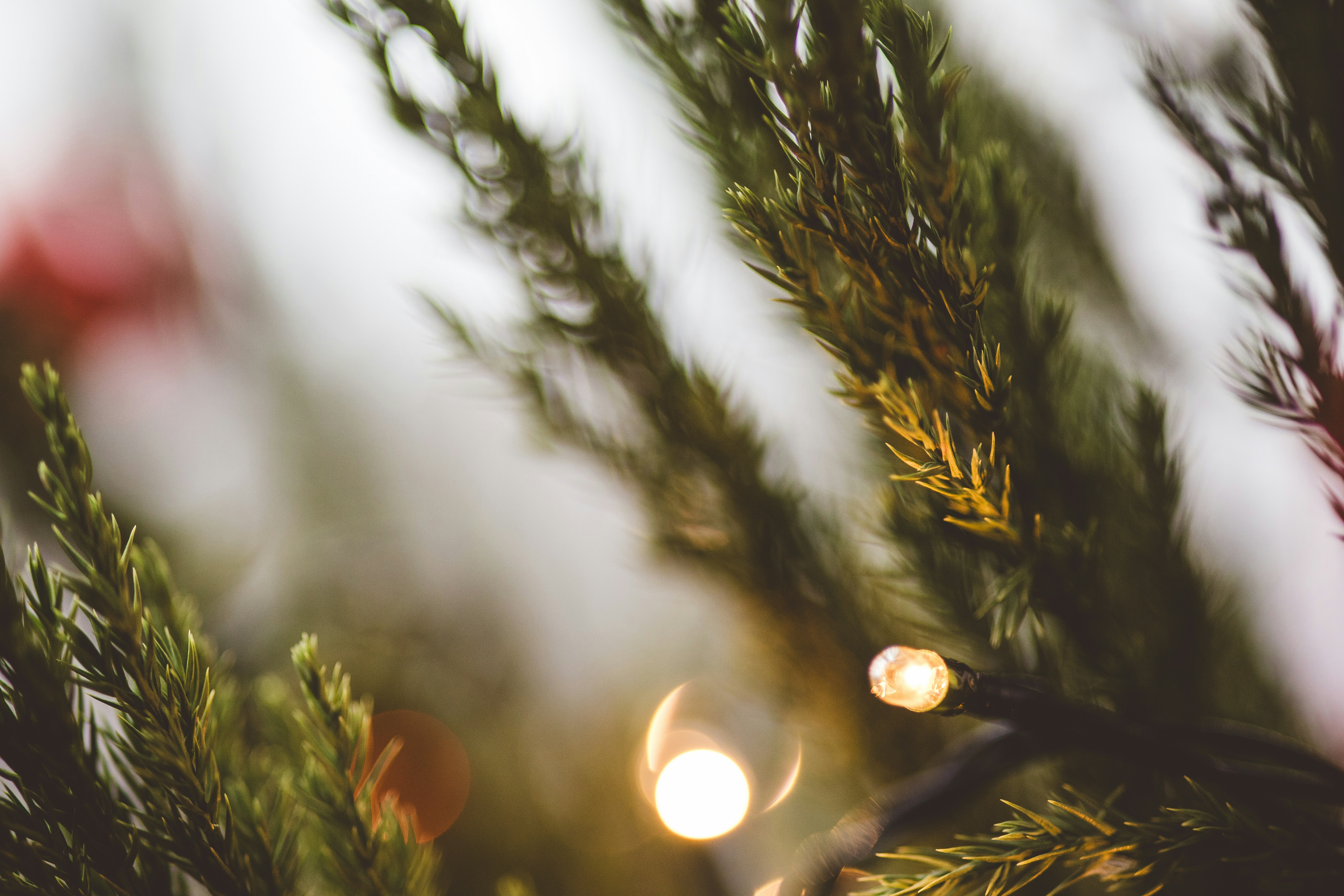 Photo by rrodriguesim