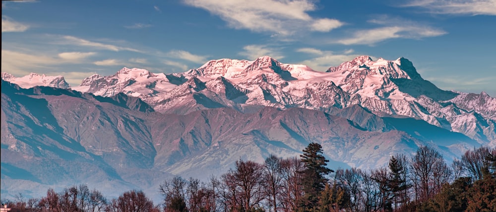 a snow covered mountain range with trees in the foreground