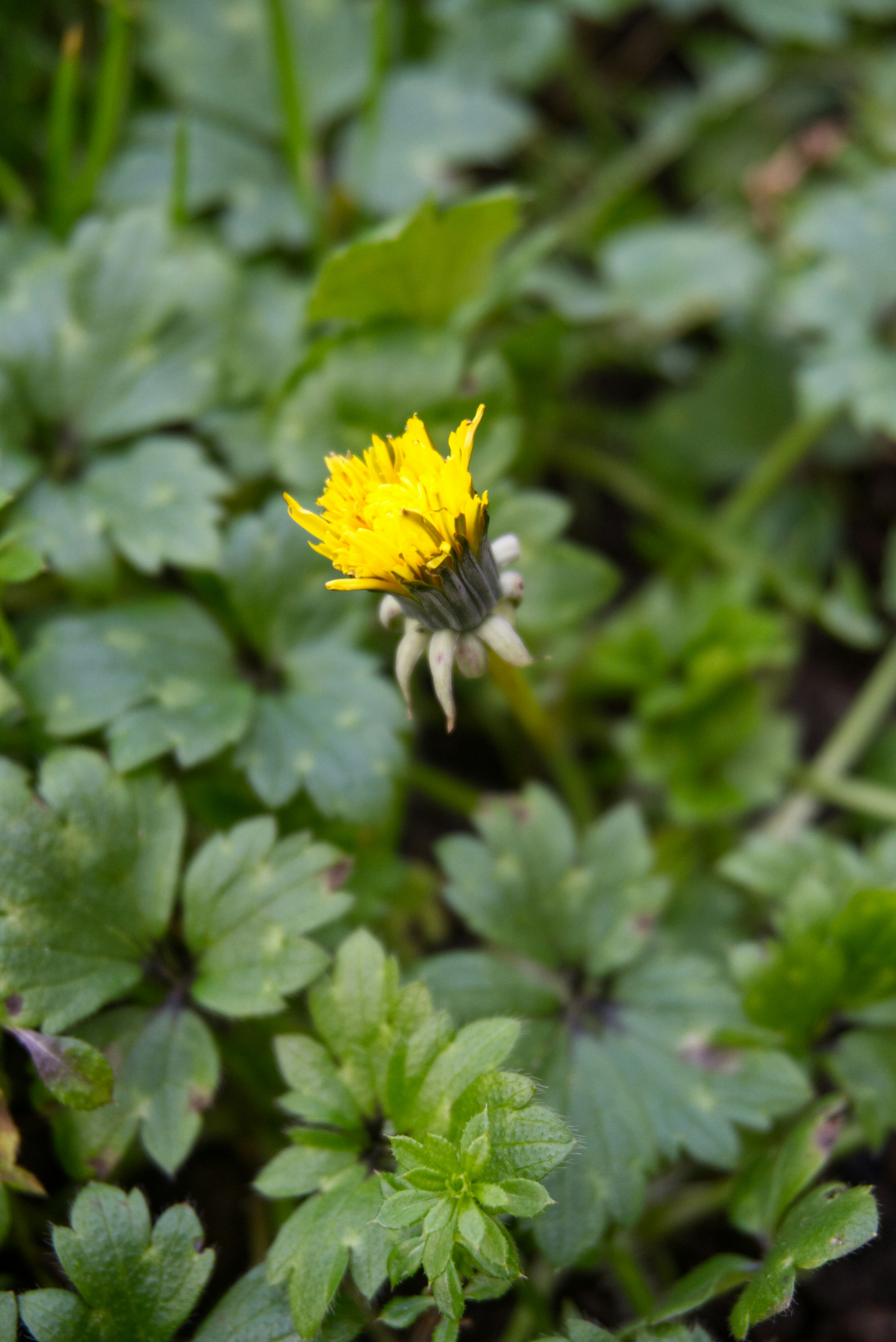 Photo by gabriellasofficialphotography