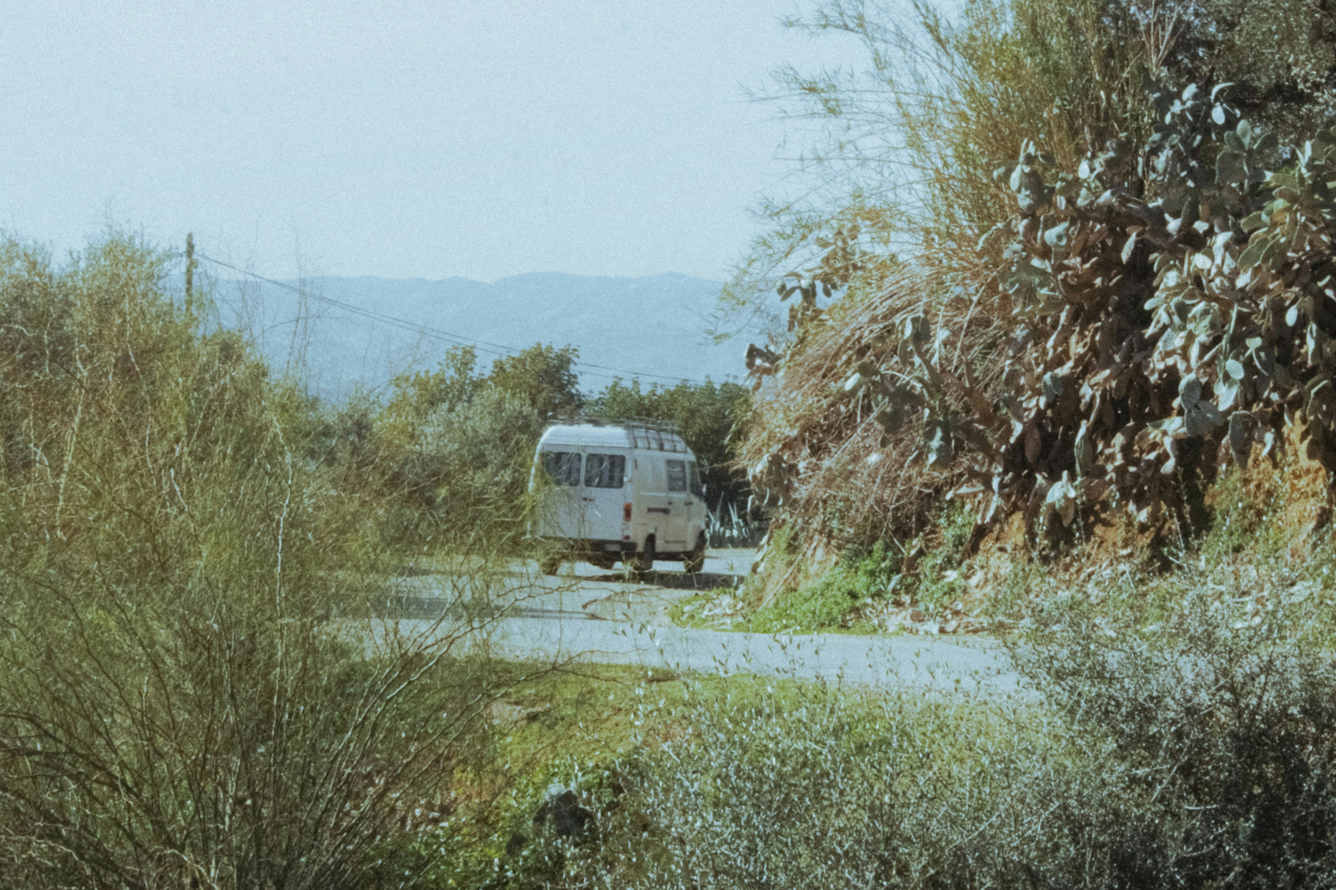 a van driving down a road next to a forest