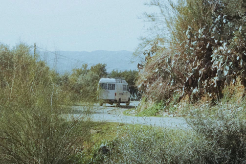 A cozy campervan parked beside a leafy driveway under a clear blue sky.