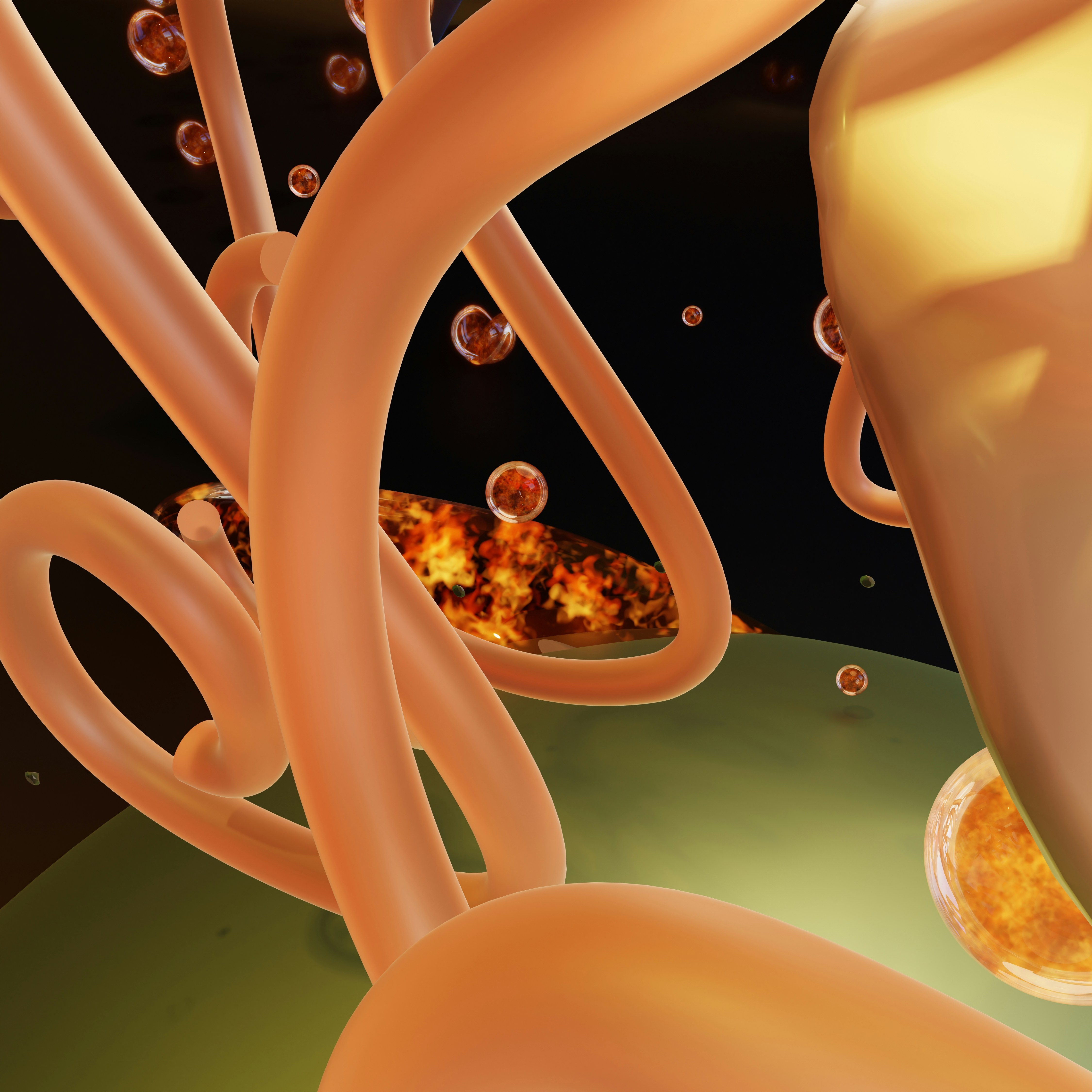 How Oxalates May Affect Your Gut Microbiome: 7 Essential Findings