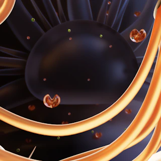 A simple, clean illustration of the cosmos with interconnected lines symbolizing a new theory of life and the universe.