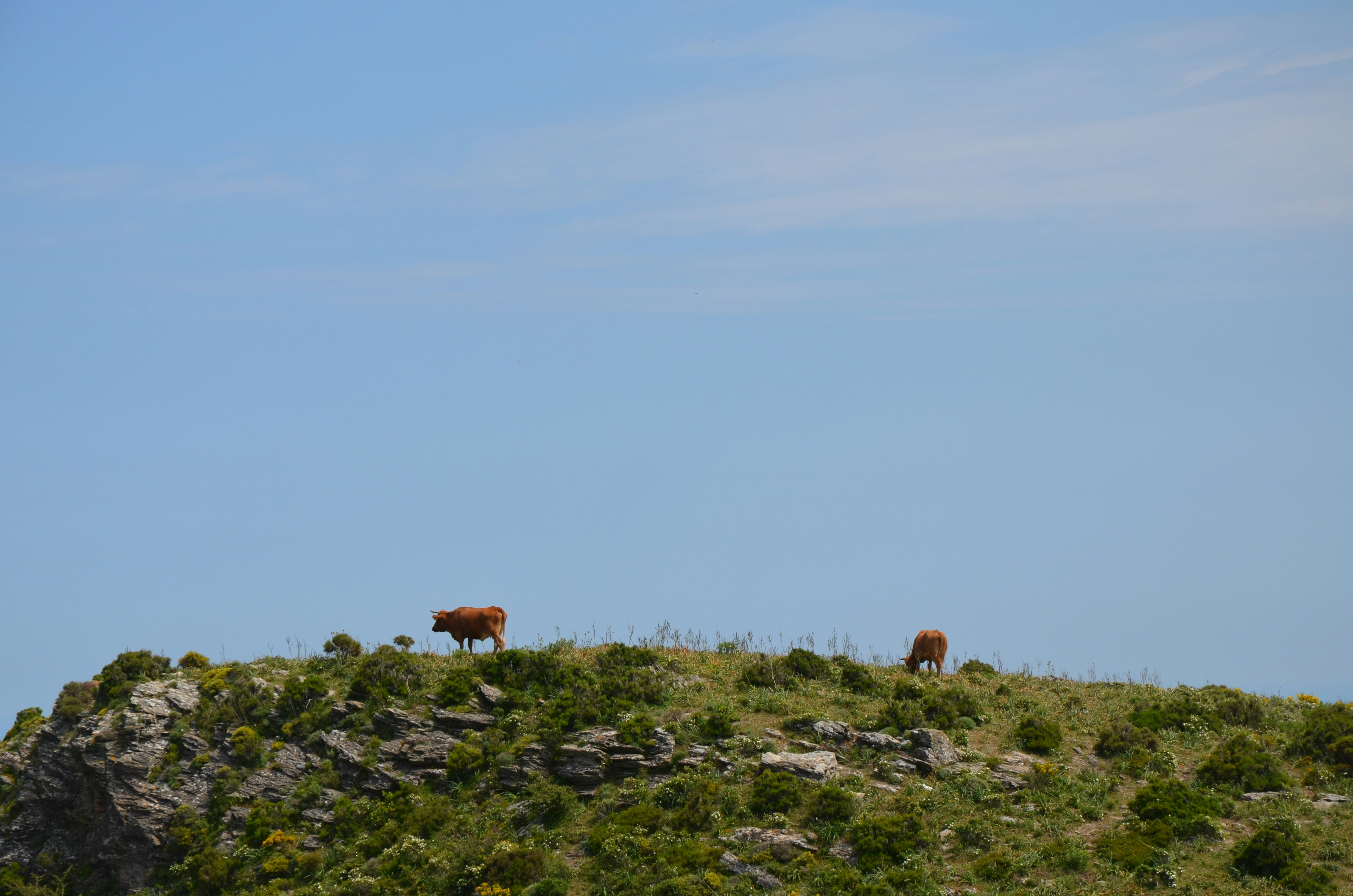 Photo by danielschild