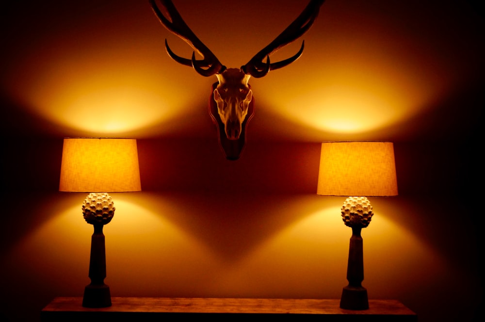 a deer head mounted on a wall next to two lamps