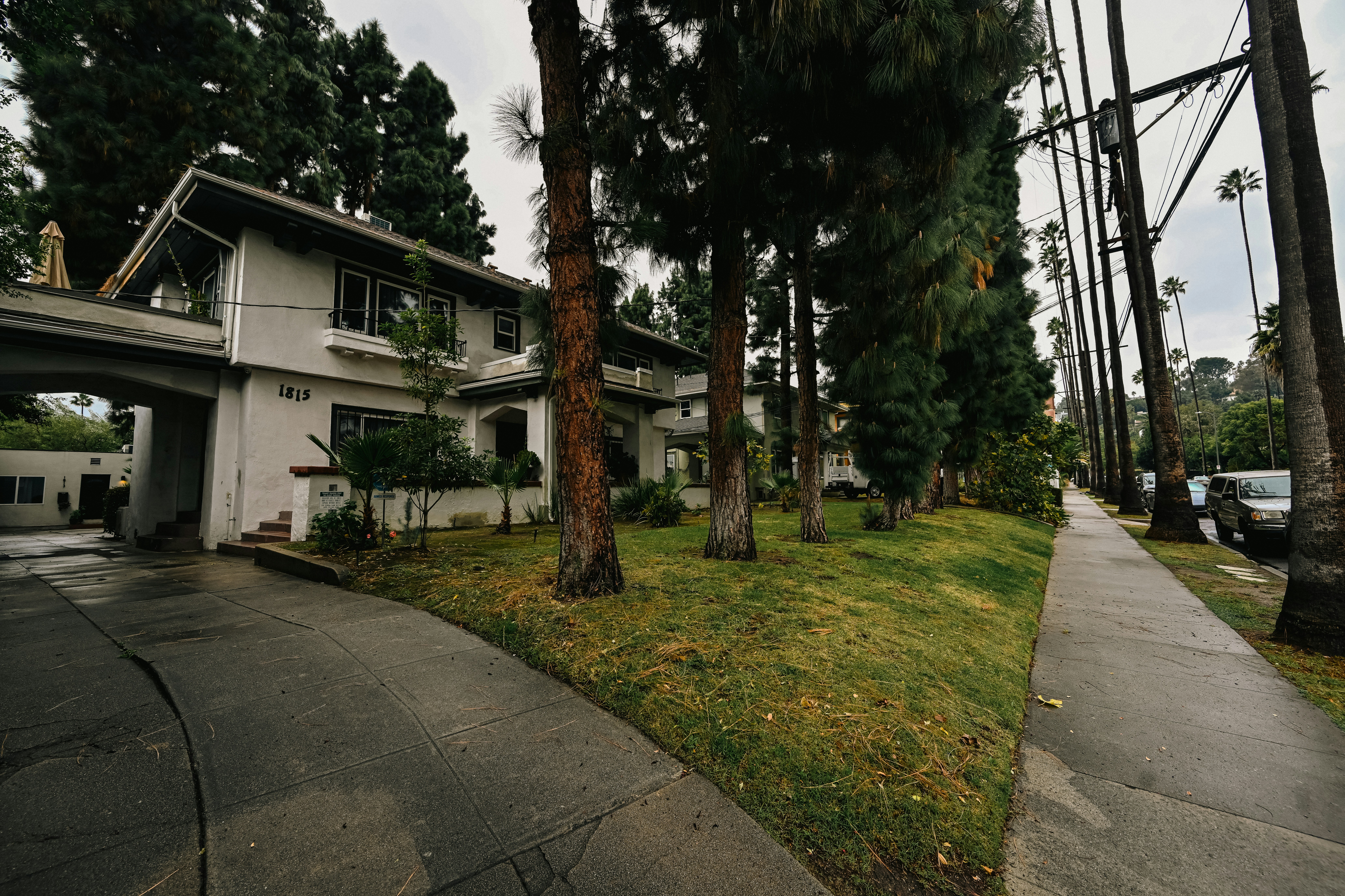 a house with trees and a car parked in front of it