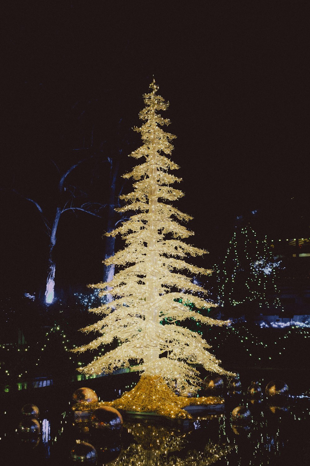 a large white christmas tree sitting in the middle of a park