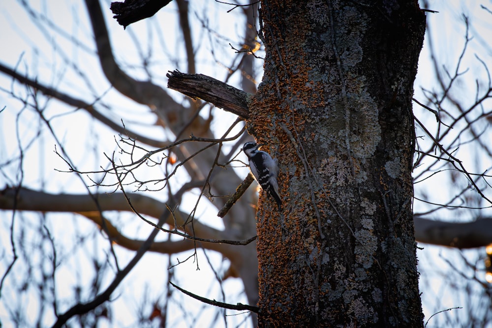 a bird is perched on a tree branch