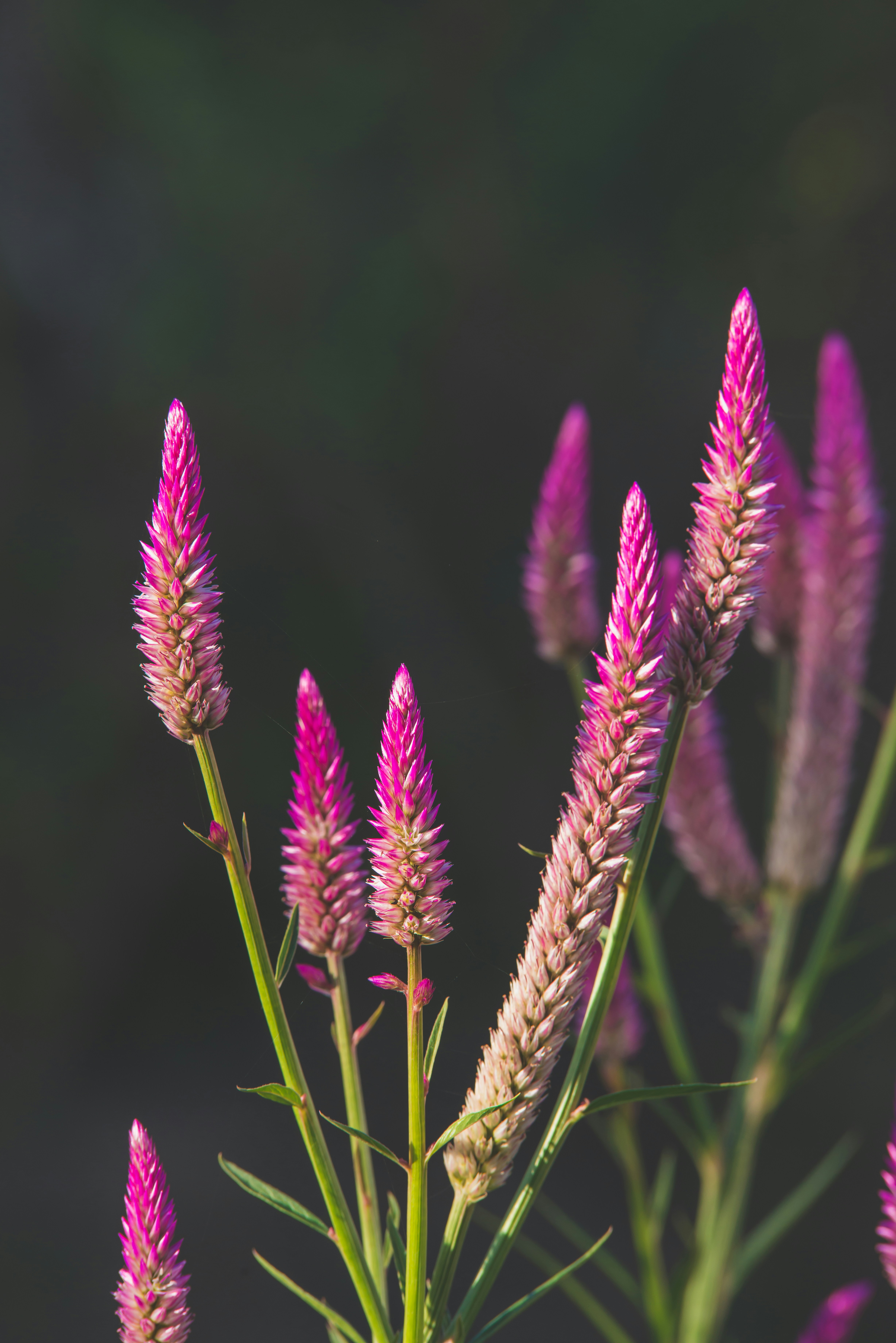 Photo by david_mendozahn