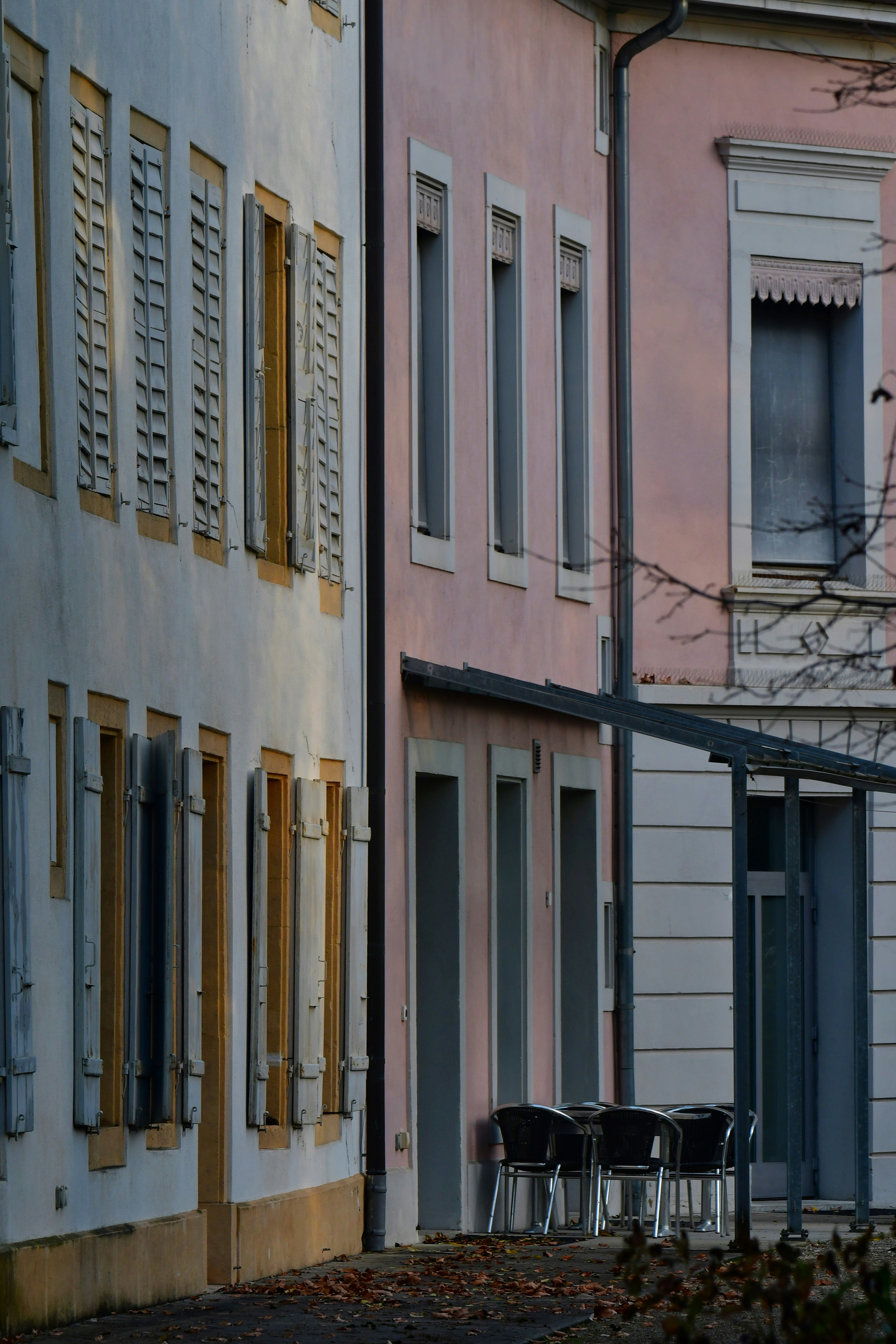 Photo by pedrino5_official