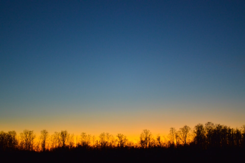 the sun is setting over the trees in the distance