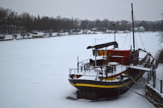 A boat is moored on a snow-covered river, with its deck and surrounding area blanketed in white snow. The background features a row of leafless trees and buildings, under a grey, overcast sky.