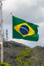 a green and yellow flag flying in the wind
